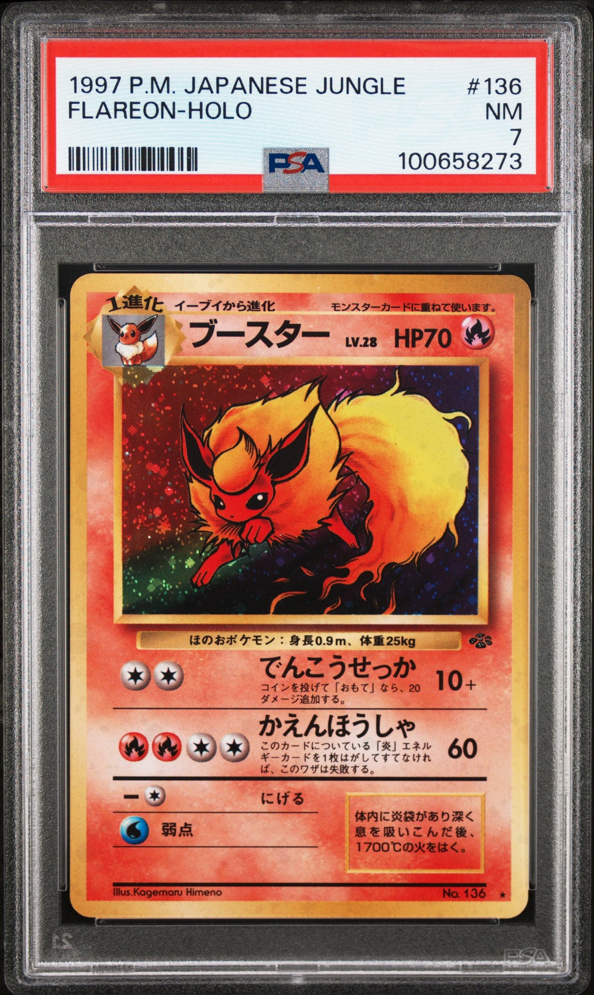 FLAREON-HOLO · #136 · POKEMON JAPANESE JUNGLE · PSA 7 — PSA 7 — 8b8d5288-4392-4a6b-96c6-32a7c7c00c33