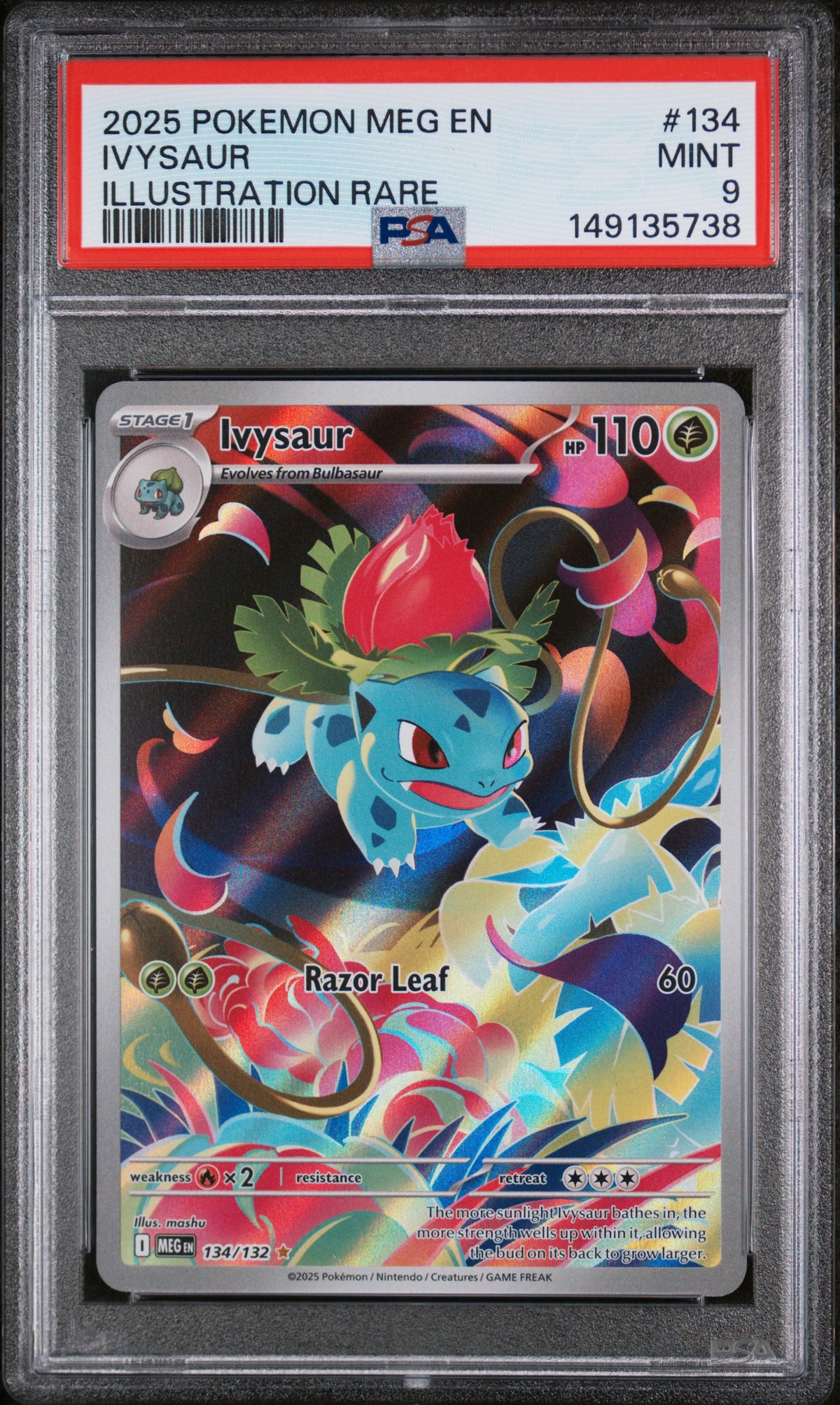 IVYSAUR · #134 · POKEMON MEG EN-MEGA EVOLUTION · PSA 9 — PSA 9 — 894602df-d251-4b1f-a051-15488681d5d0