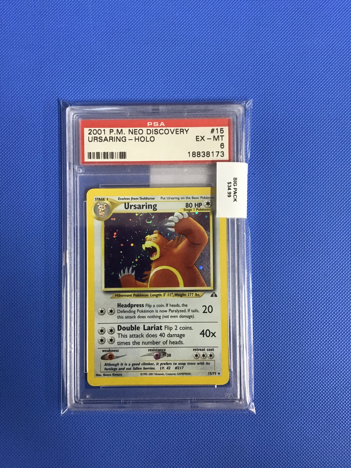 URSARING-HOLO · #15 · POKEMON NEO DISCOVERY · PSA 6 — PSA 6 — 9cfac5d5-ea35-4bea-9e26-7f277657495e