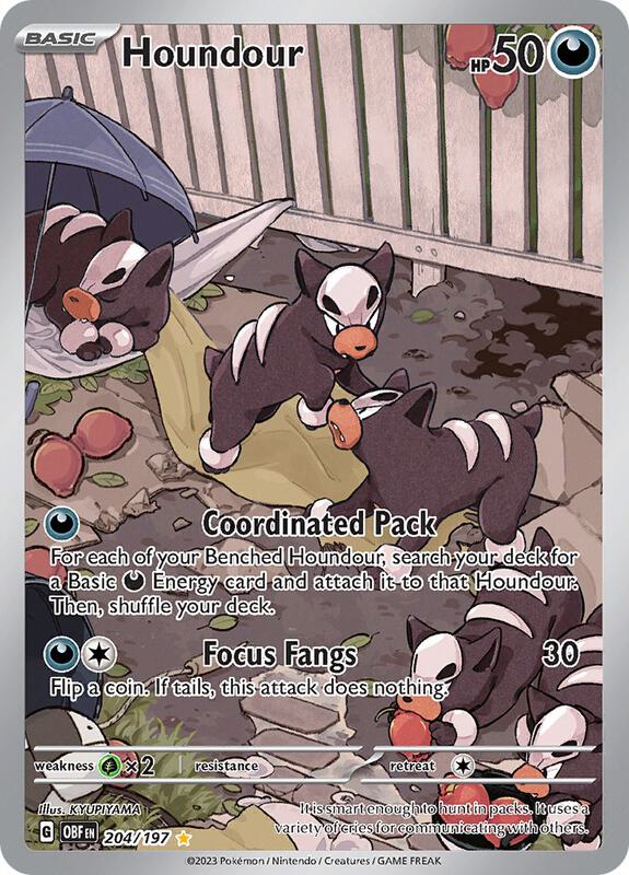 Houndour - 204/197 — Near Mint (NM) — e633f7bb-aef2-4168-b1b9-ec9447c5bb82