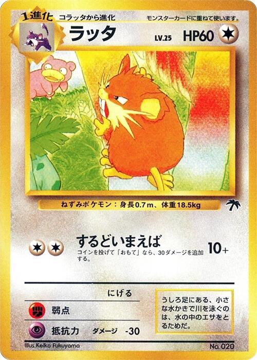 Raticate — Lightly Played (LP) — 24311ef4-7644-43da-8450-9d0429d74f57