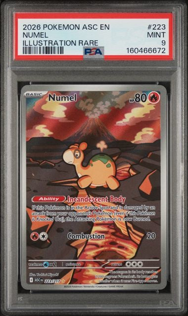 NUMEL · #223 · POKEMON ASC EN-ASCENDED HEROES · PSA 9 — PSA 9 — 9de14e06-0e84-48ac-80e5-83e4ba6d1f2f